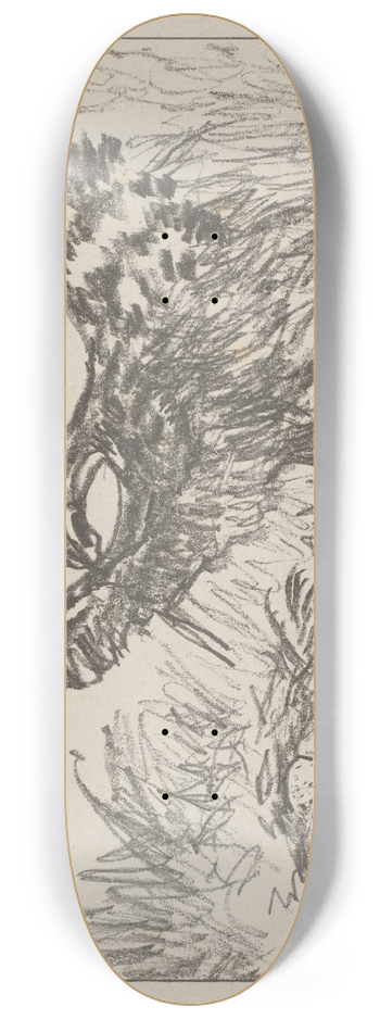 Theo van Hoytema - Tureluur bij nest 8.25 inch art skate deck