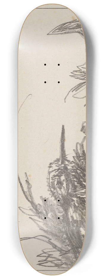 Theo van Hoytema - Tureluur in het gras 8.25 inch art skate deck