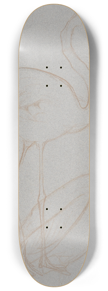 Theo van Hoytema - Twee studies van een flamingo 8.25 inch art skate deck