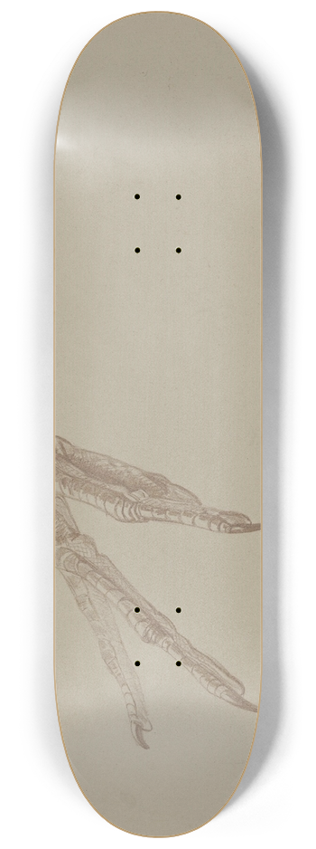 Theo van Hoytema - Vogelpoot 8.25 inch art skate deck