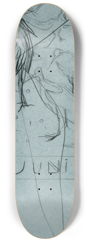 Theo van Hoytema - Watervogels, juli 8.25 inch art skate deck