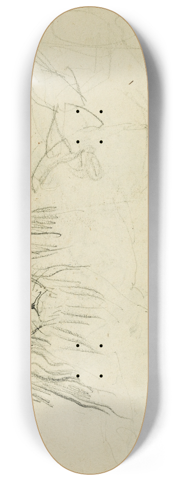 Thodore Gricault - Head on view of seated lion 8.25 inch art skate deck