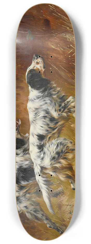 Thomas Blinks - English Setters 8.25 inch art skate deck