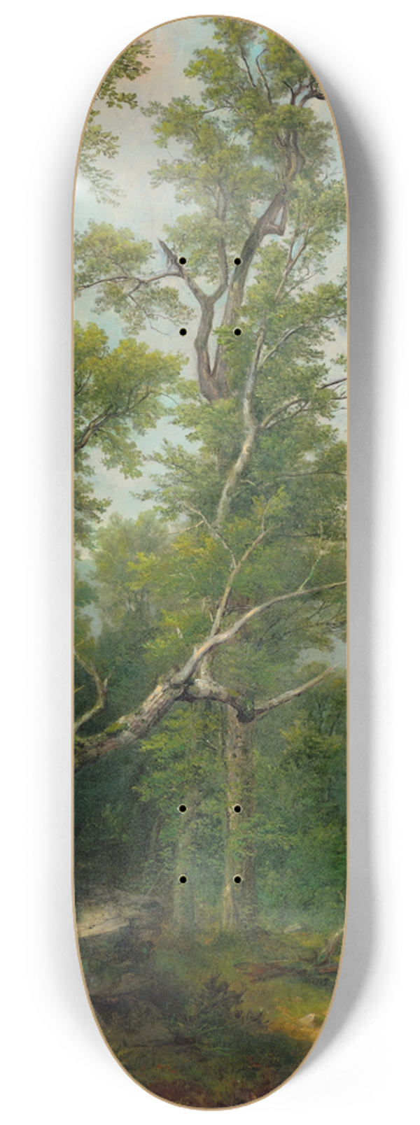 Asher Brown Durand - Study ofTrees 8.25 inch art skate deck