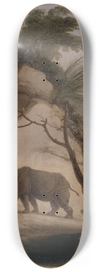 Thomas Daniell - The Indian Rhinoceros 8.25 inch art skate deck