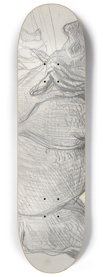 August Alleb - Neushoorn in het water 8.25 inch art skate deck