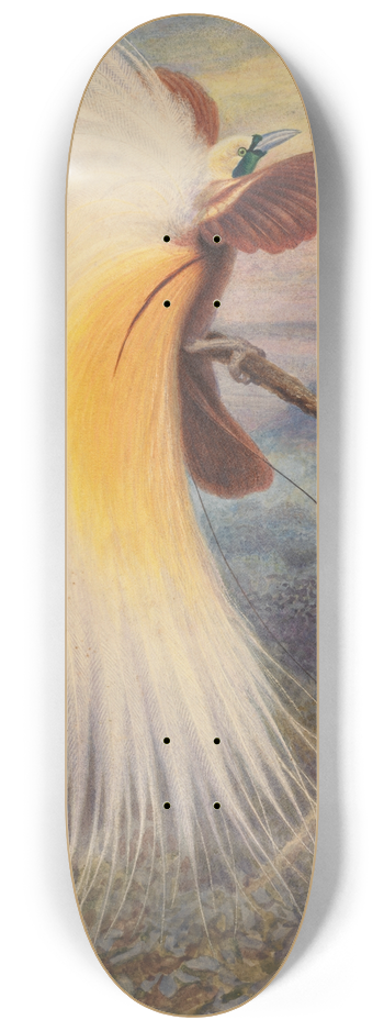 Thomas William Wood - Birds of Paradise 8.25 inch art skate deck