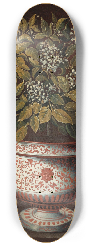 Toms Hiepes - Terracotta Vase With An Orange Bush In Flower 8.25 inch art skate deck