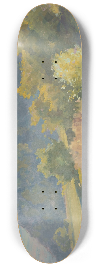 udovt ordk - Landscape 8.25 inch art skate deck