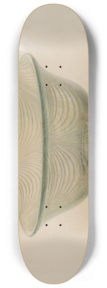 Van Silvay - Bowl 8.25 inch art skate deck