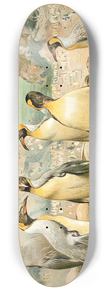 Wilhelm Kuhnert - Giant Penguins 8.25 inch art skate deck