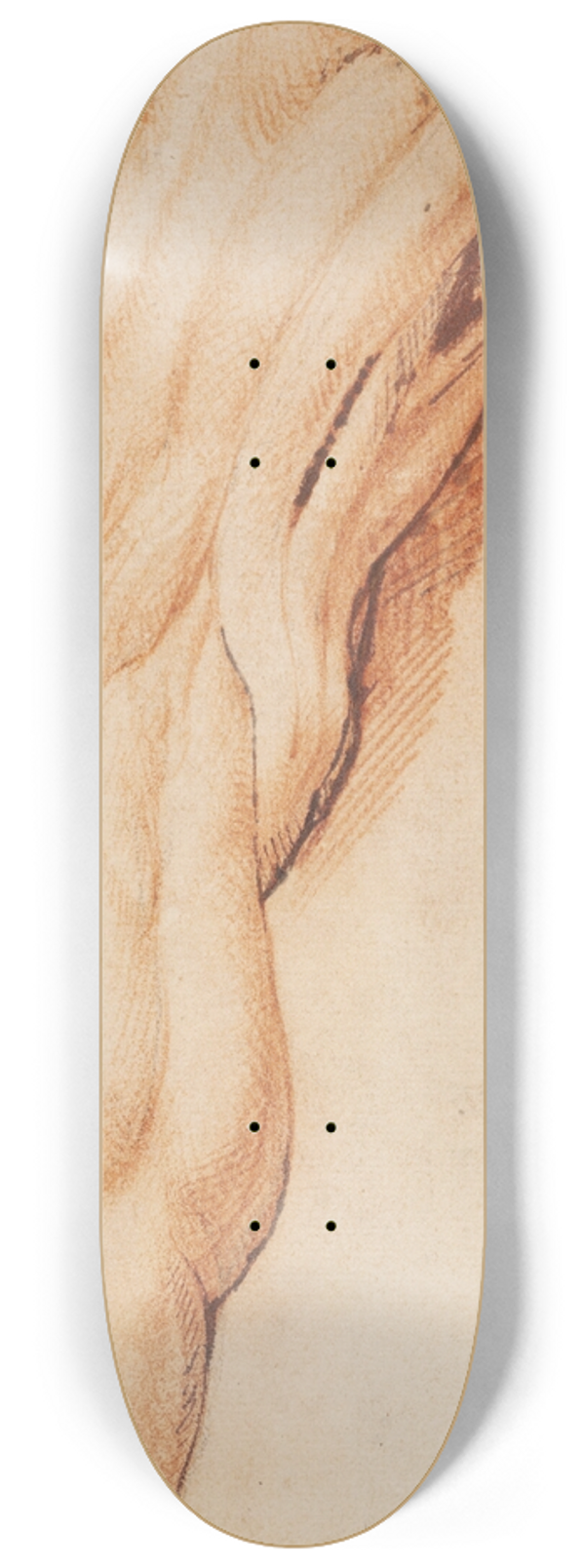 Willem Panneels - Anatomical Study (corch). A mans flayed left leg seen from the back 8.25 inch art skate deck
