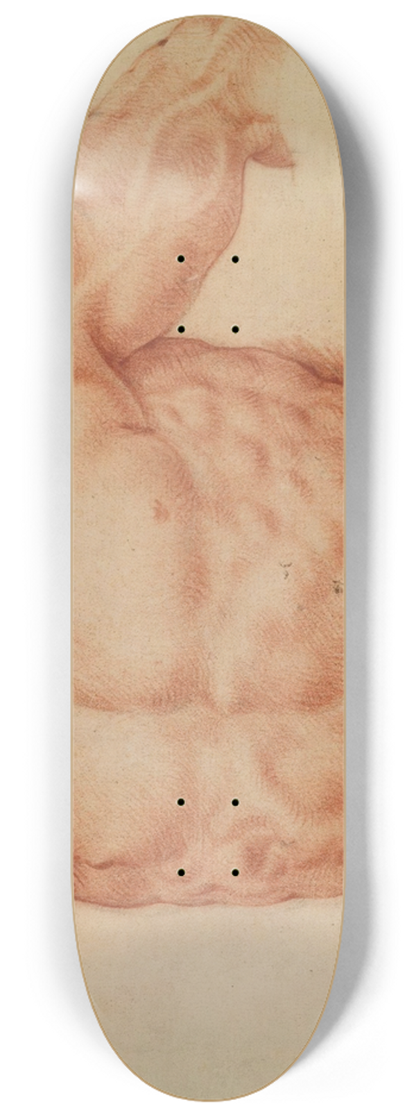 Willem Panneels - Front view of Laocoons torso 8.25 inch art skate deck