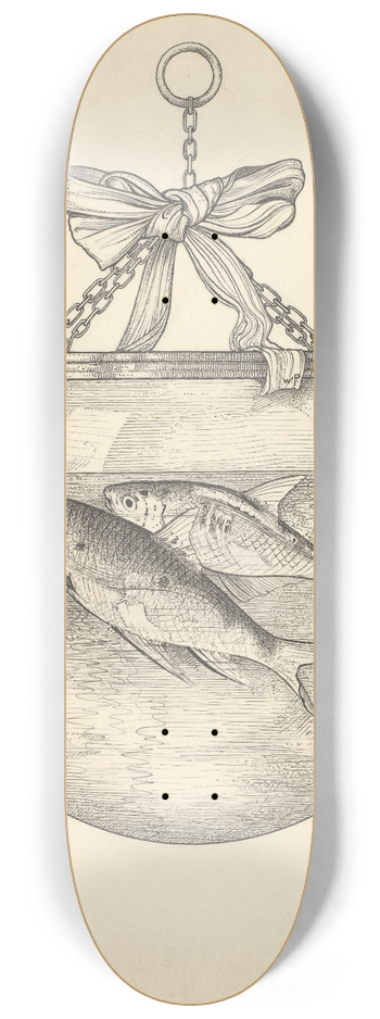 Willem Pothast - Vissen in een kom 8.25 inch art skate deck