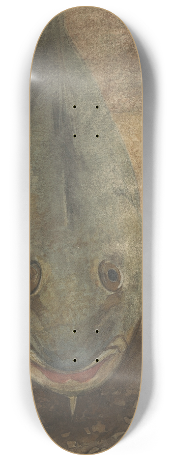 Willem Witsen - Vis van voren gezien 8.25 inch art skate deck