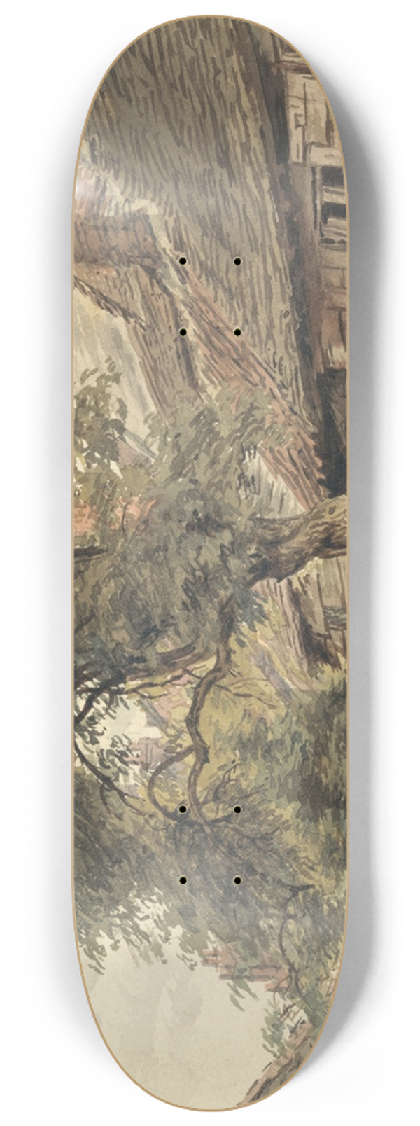 William Henry Hunt - Backyard of a Cottage 8.25 inch art skate deck