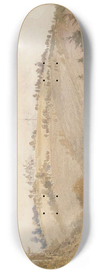 William Mathew Hodgkins - Awamoa (Otago) 8.25 inch art skate deck