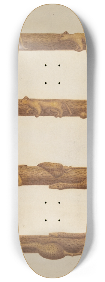 William McAuley - Walking Stick 8.25 inch art skate deck