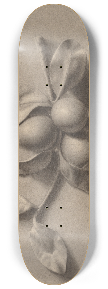 William Michael Harnett - A Sprig of Plums 8.25 inch art skate deck