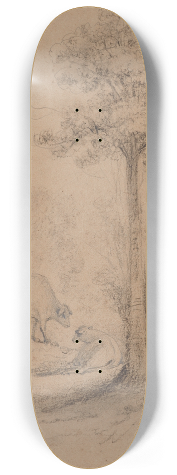 William Swainson - Lace bark trees, Hawkeshead,Hutt Valley 8.25 inch art skate deck