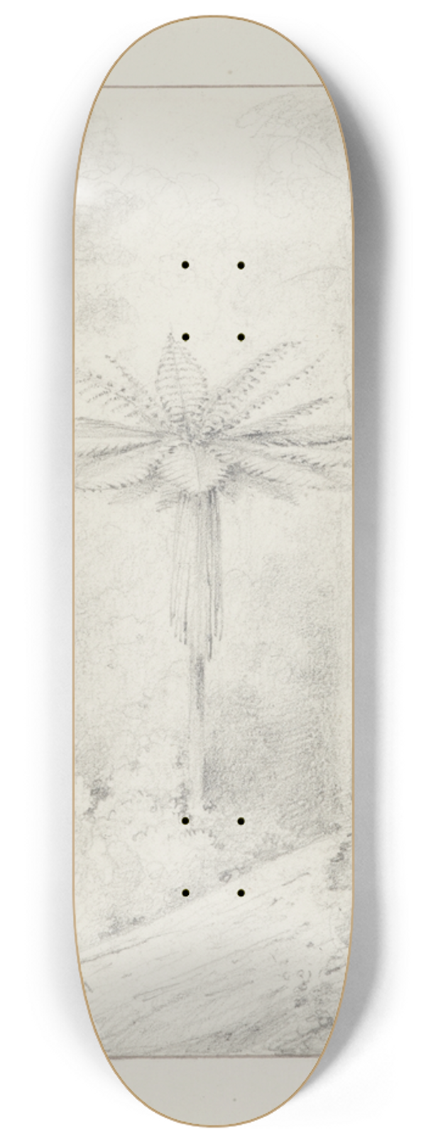 William Swainson - Soft leaved tree fern, Upper Hutt 8.25 inch art skate deck