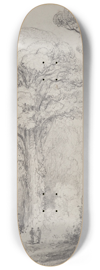 William Swainson - White Pine, Stokes Valley 8.25 inch art skate deck