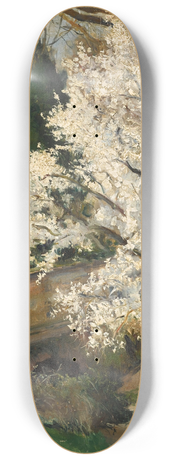 Aureliano de Beruete - Spring Blossom 8.25 inch art skate deck