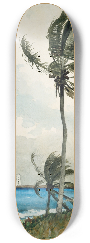 Winslow Homer - Palm Tree, Nassau 8.25 inch art skate deck