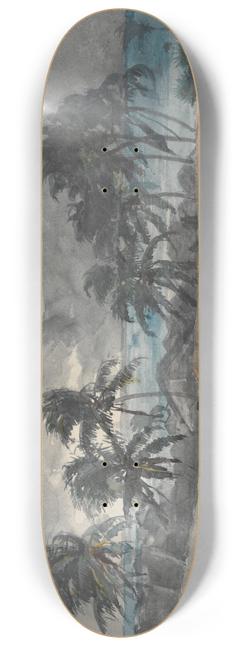 Winslow Homer - Storm,Bahamas 8.25 inch art skate deck