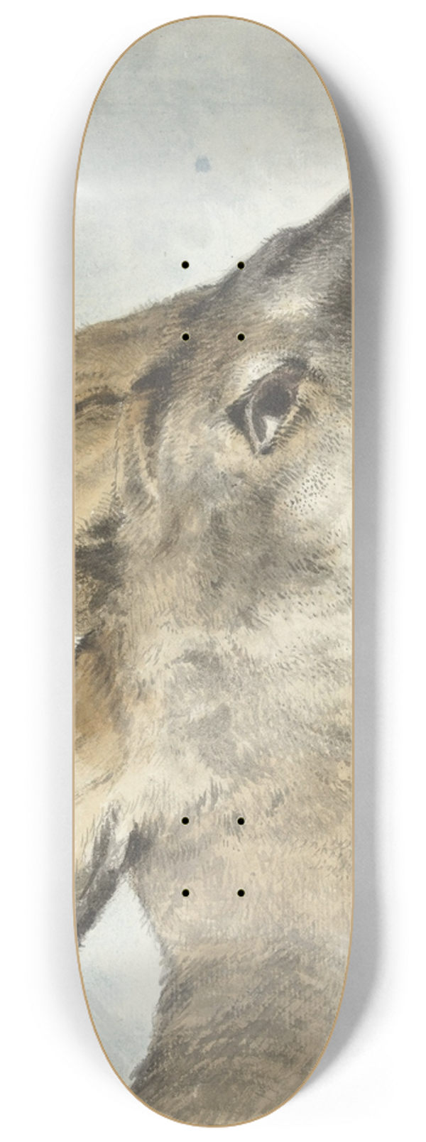 Wybrand Hendriks - Head of a Roebuck 8.25 inch art skate deck