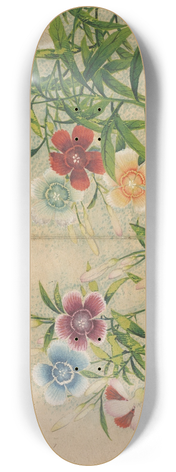 Zhang Ruoai - Pinks 8.25 inch art skate deck