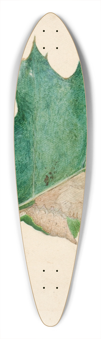 Abbott Handerson Thayer - Oligocentra Lignicolor, Walker, study for book Concealing Coloration in the Animal Kingdom 39.3 inch art pintail longboard deck