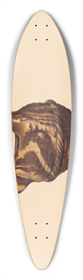 Aaron Fastovsky - Bank 39.3 inch art pintail longboard deck