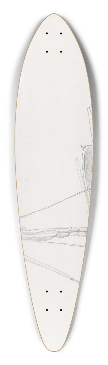 Adolph Tidemand - Bt, Arild 39.3 inch art pintail longboard deck