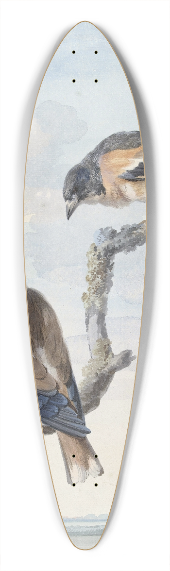 Aert Schouman - Twee vogels; een appelvink (Coccothraustes coccothraustes) en een keep (Fringilla montifringilla) 39.3 inch art pintail longboard deck