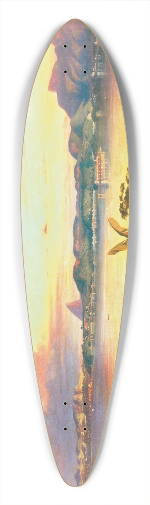 Alessandro Ciccarelli - Rio de Janeiro 39.3 inch art pintail longboard deck