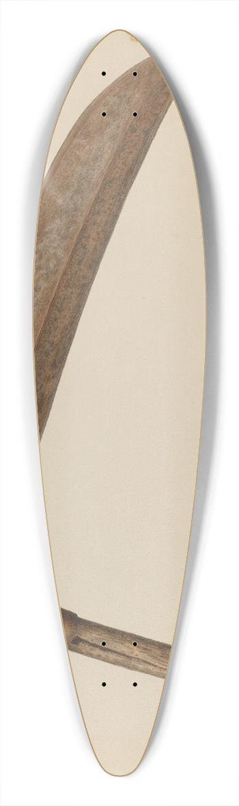 Alexander Anderson - Straw Knife 39.3 inch art pintail longboard deck