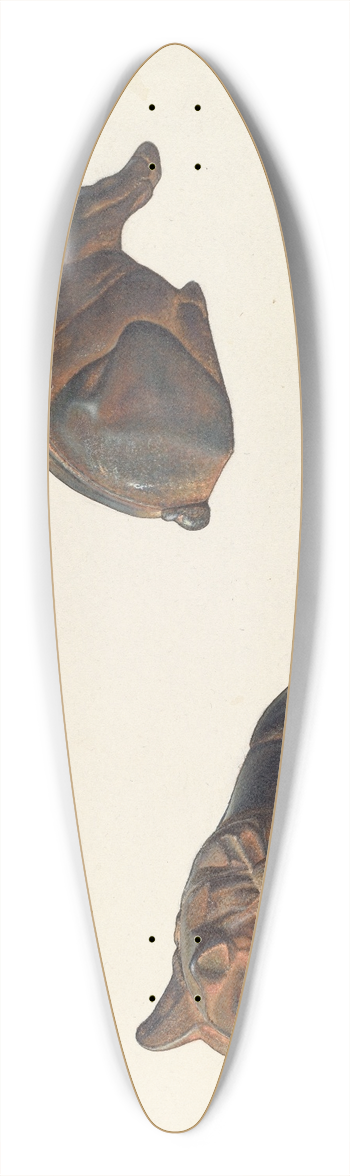 Alf Bruseth - Prize Pig Coin Bank 39.3 inch art pintail longboard deck