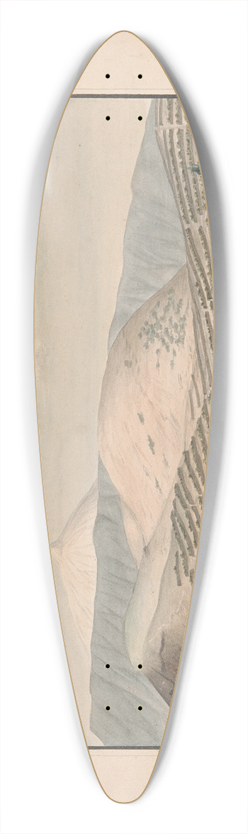 Alfred Diston - La Montaneta de Las Arenas 39.3 inch art pintail longboard deck