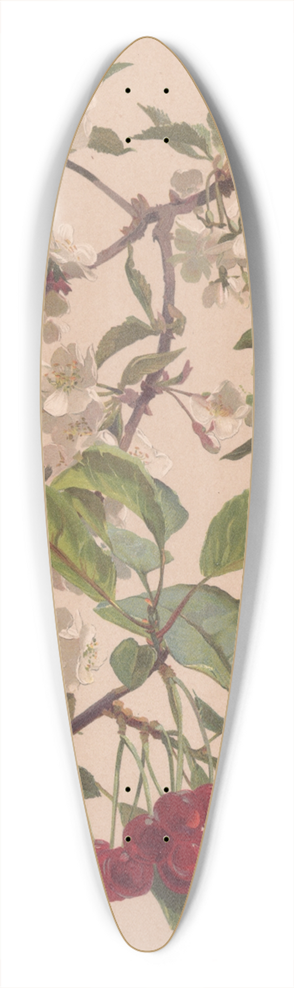 Alice Bailly - Aquarelle dune branche de cerisier 39.3 inch art pintail longboard deck