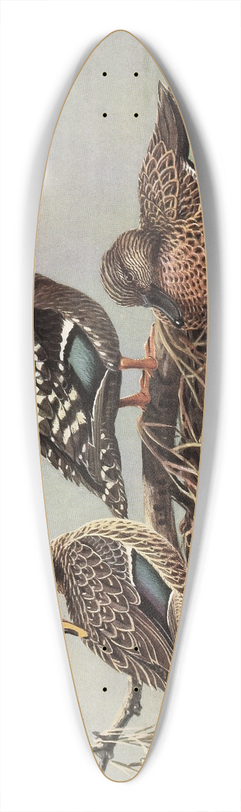 Allan Brooks - African Yellow-Billed Duck, African Black Duck, Mellers Duck 39.3 inch art pintail longboard deck