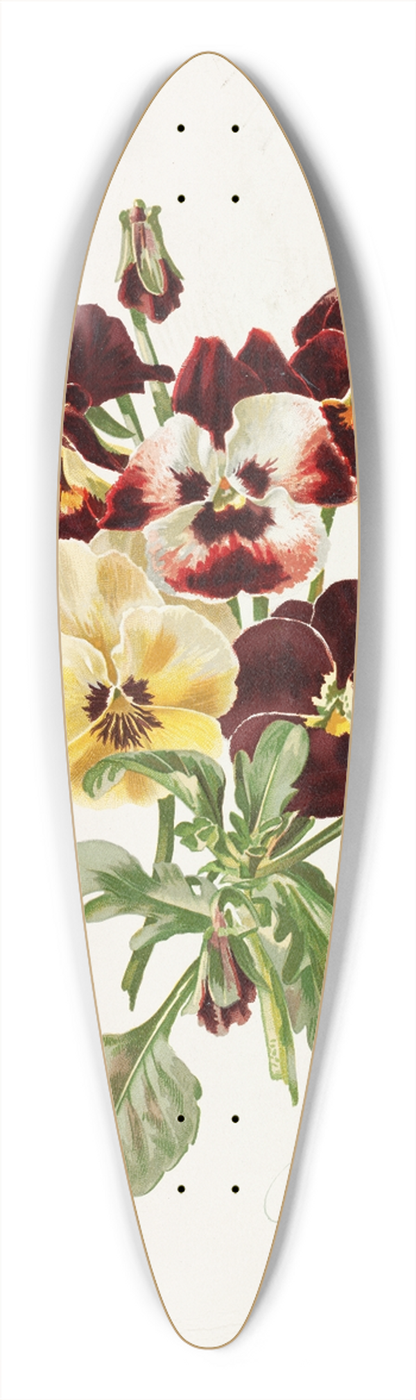 Alois Lunzer - Pansies 39.3 inch art pintail longboard deck