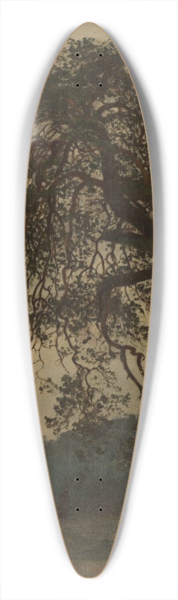 Amaldus Nielsen - Gammel gudbrandsdl 39.3 inch art pintail longboard deck
