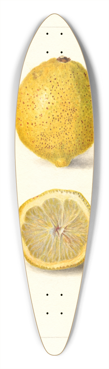 Amanda Almira Newton - Citrus limon 39.3 inch art pintail longboard deck