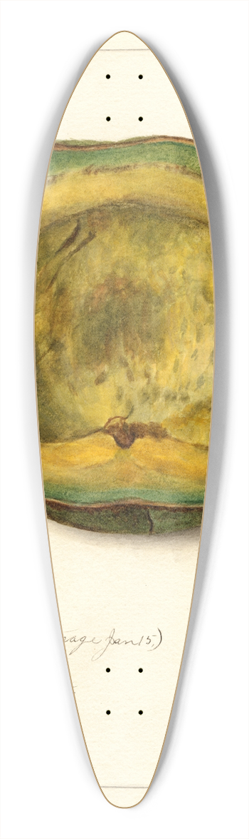 Amanda Almira Newton - Persea: Trapp 39.3 inch art pintail longboard deck