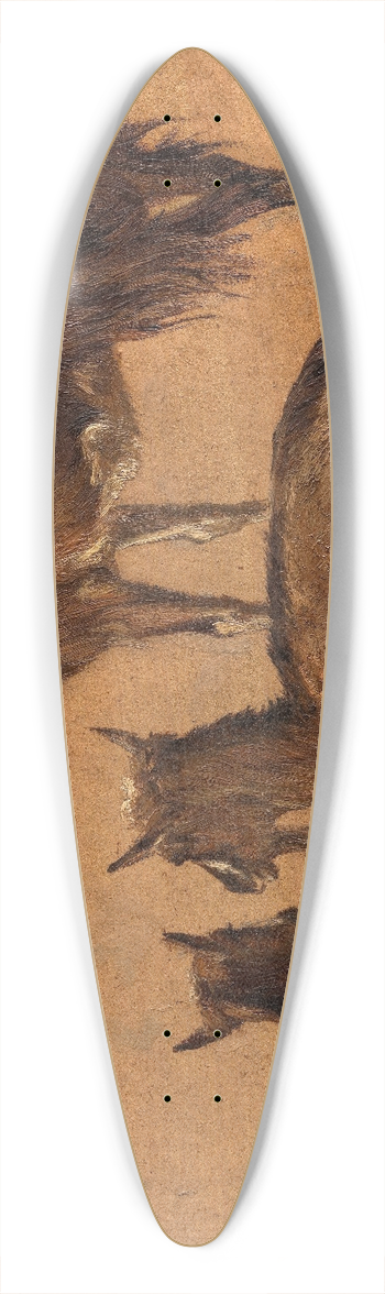 Andre Plumot - Goats 39.3 inch art pintail longboard deck
