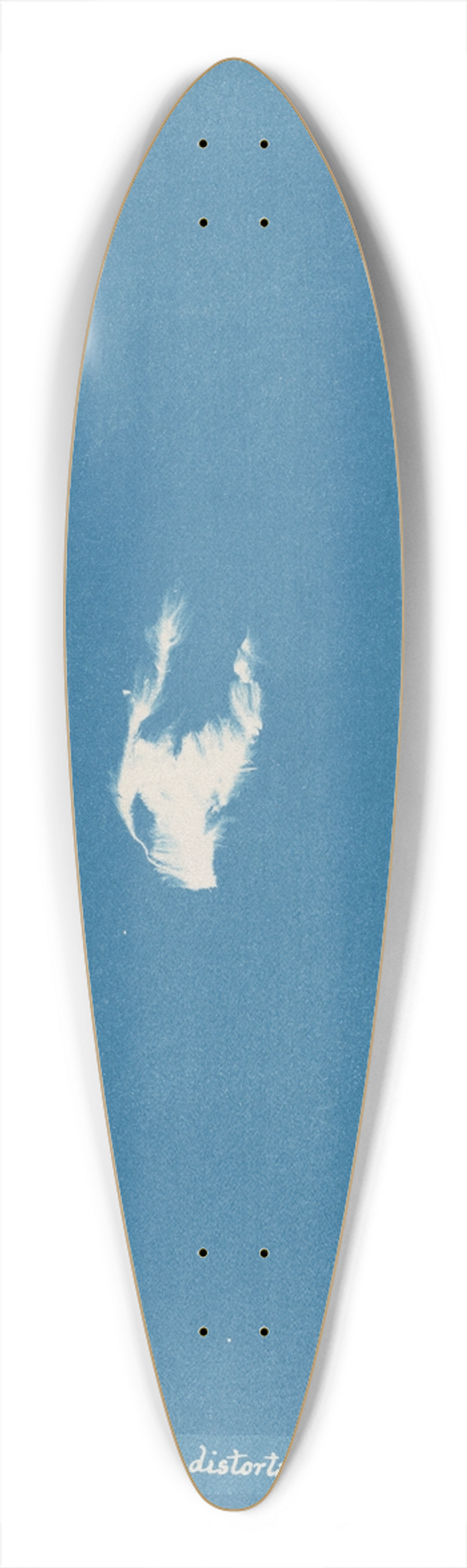 Anna Atkins - Calothrix distorta 39.3 inch art pintail longboard deck