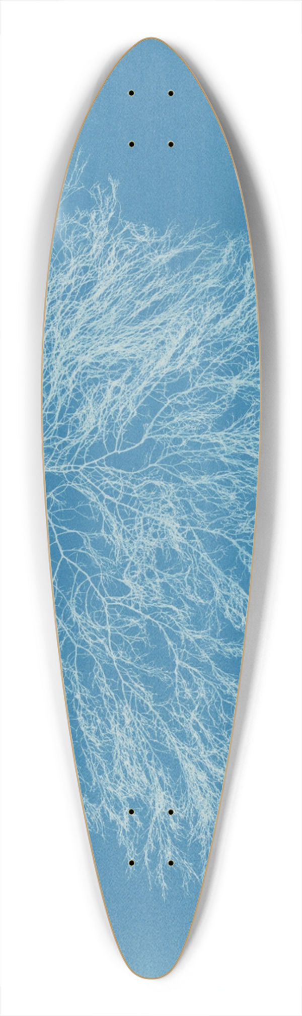 Anna Atkins - Ceramium rubrum 39.3 inch art pintail longboard deck