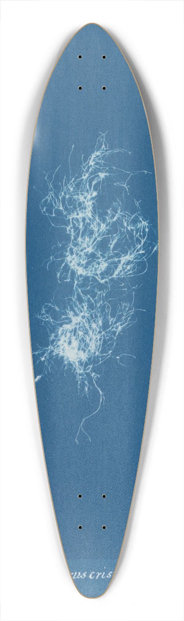 Anna Atkins - Chondrus crispus var. 39.3 inch art pintail longboard deck