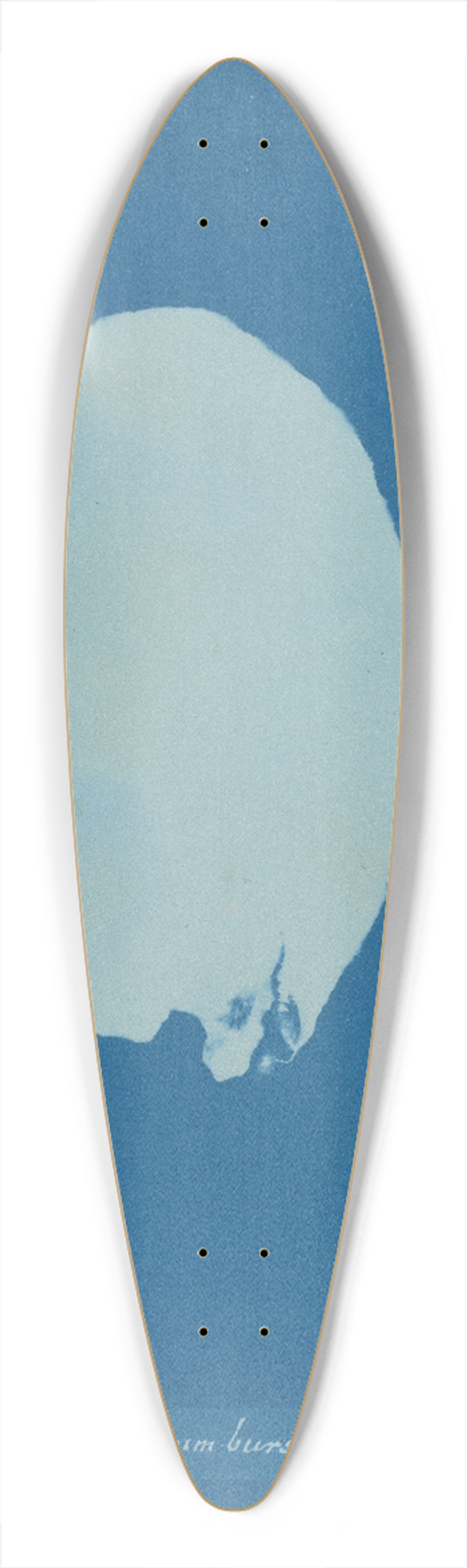 Anna Atkins - Codium Bursa 39.3 inch art pintail longboard deck